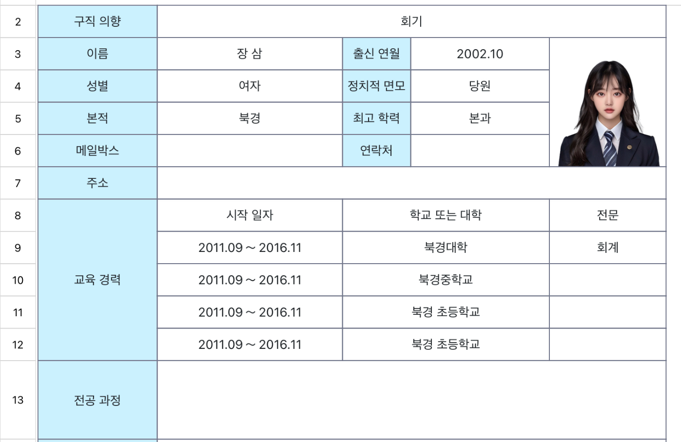 회계 이력서 1